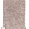 Cisco 21