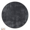 Cisco 24 Rond