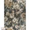 Aster 1219