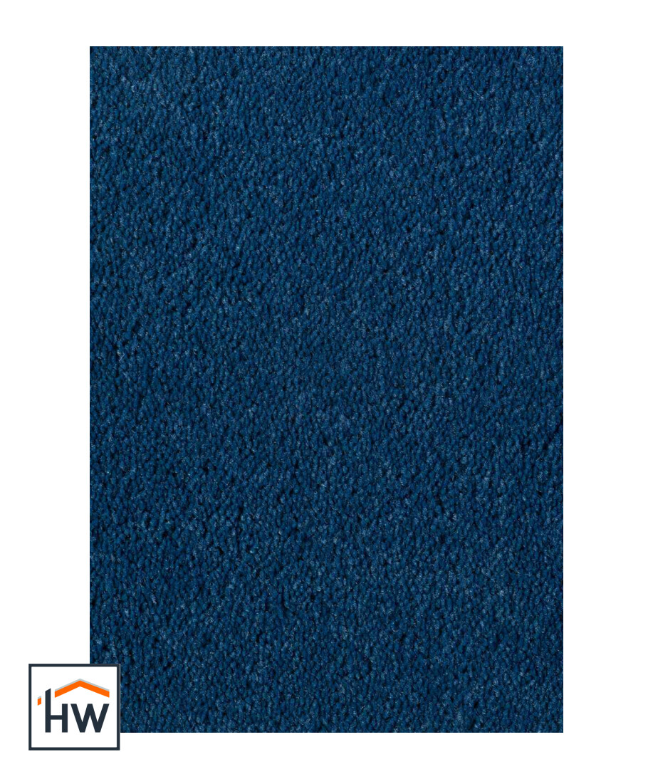 Asteranne 8801
