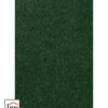 Asteranne 7923