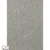Asteranne 9536
