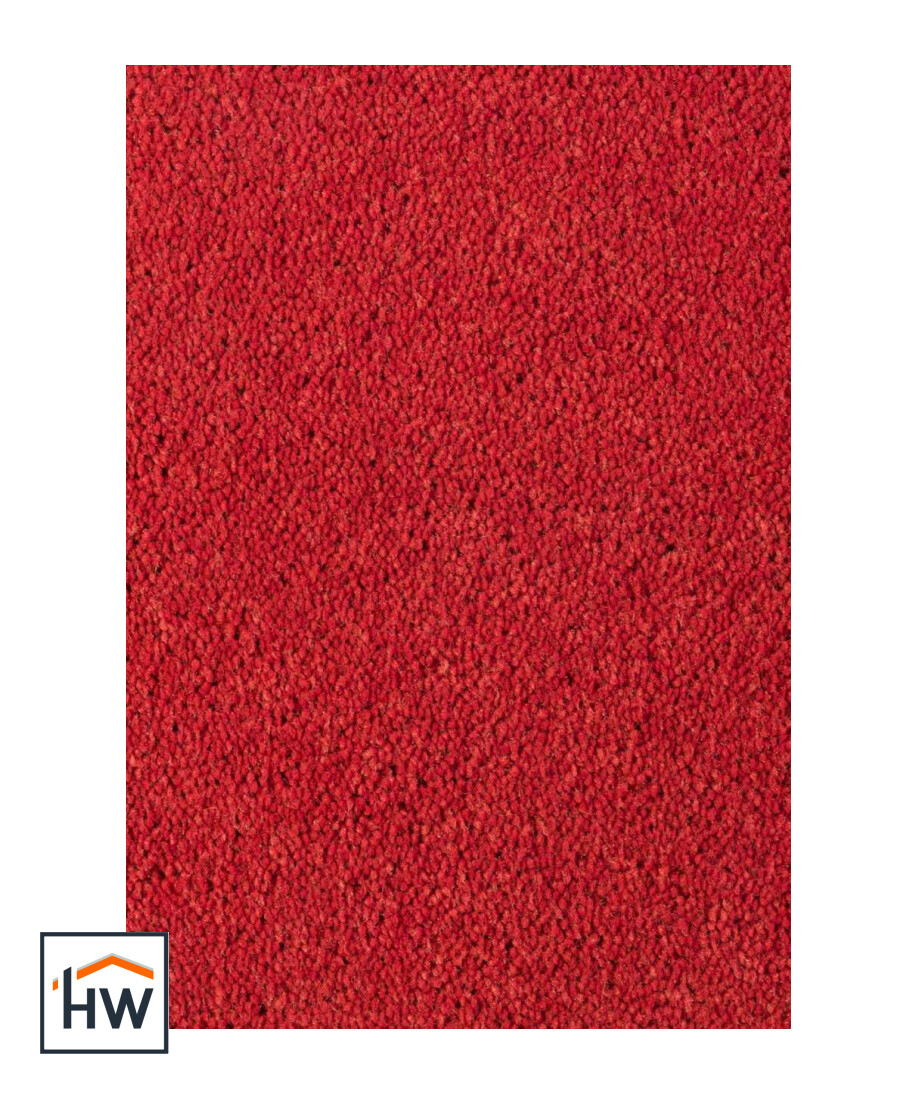 Asteranne 4311