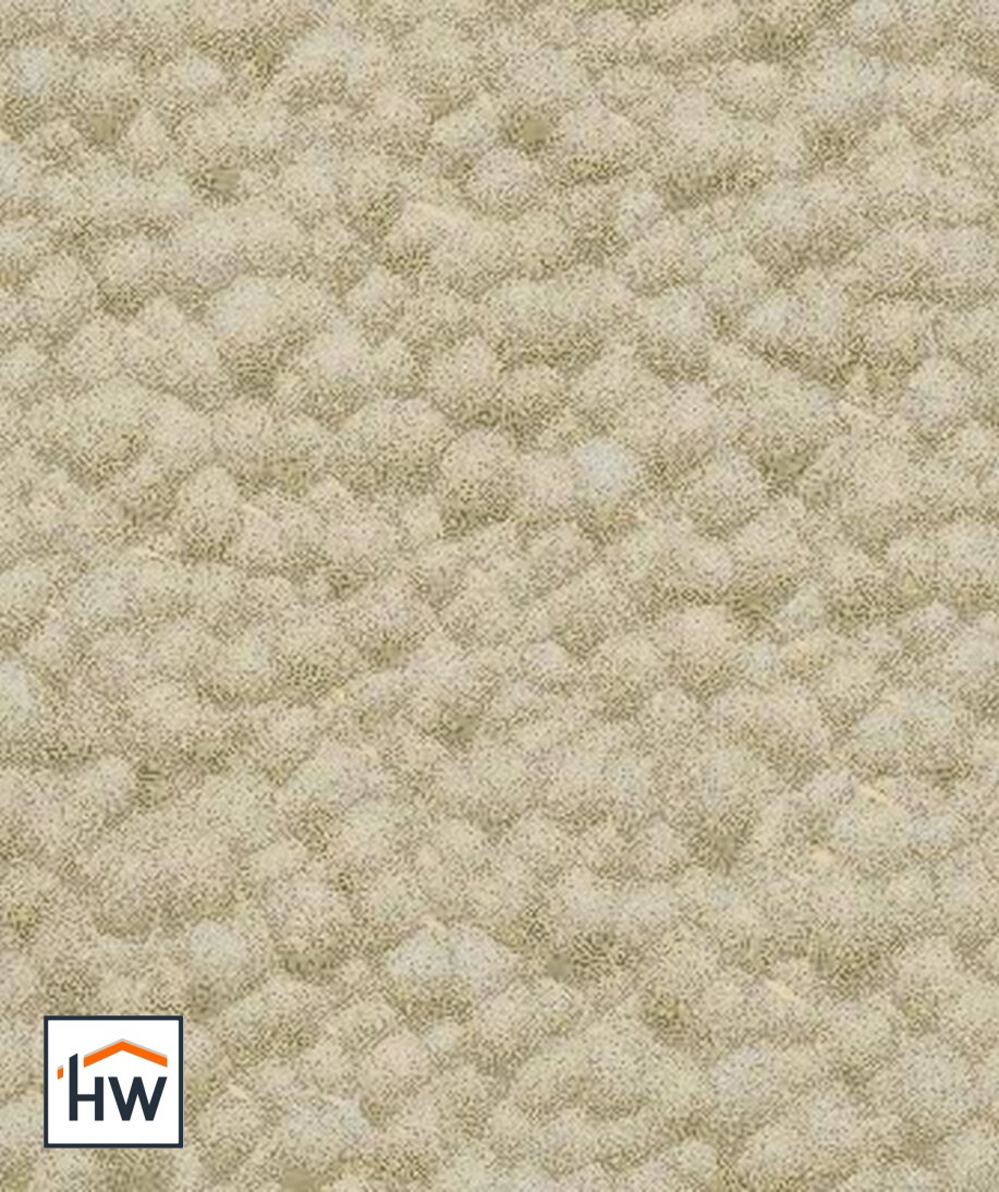 Cella 1101 - 2