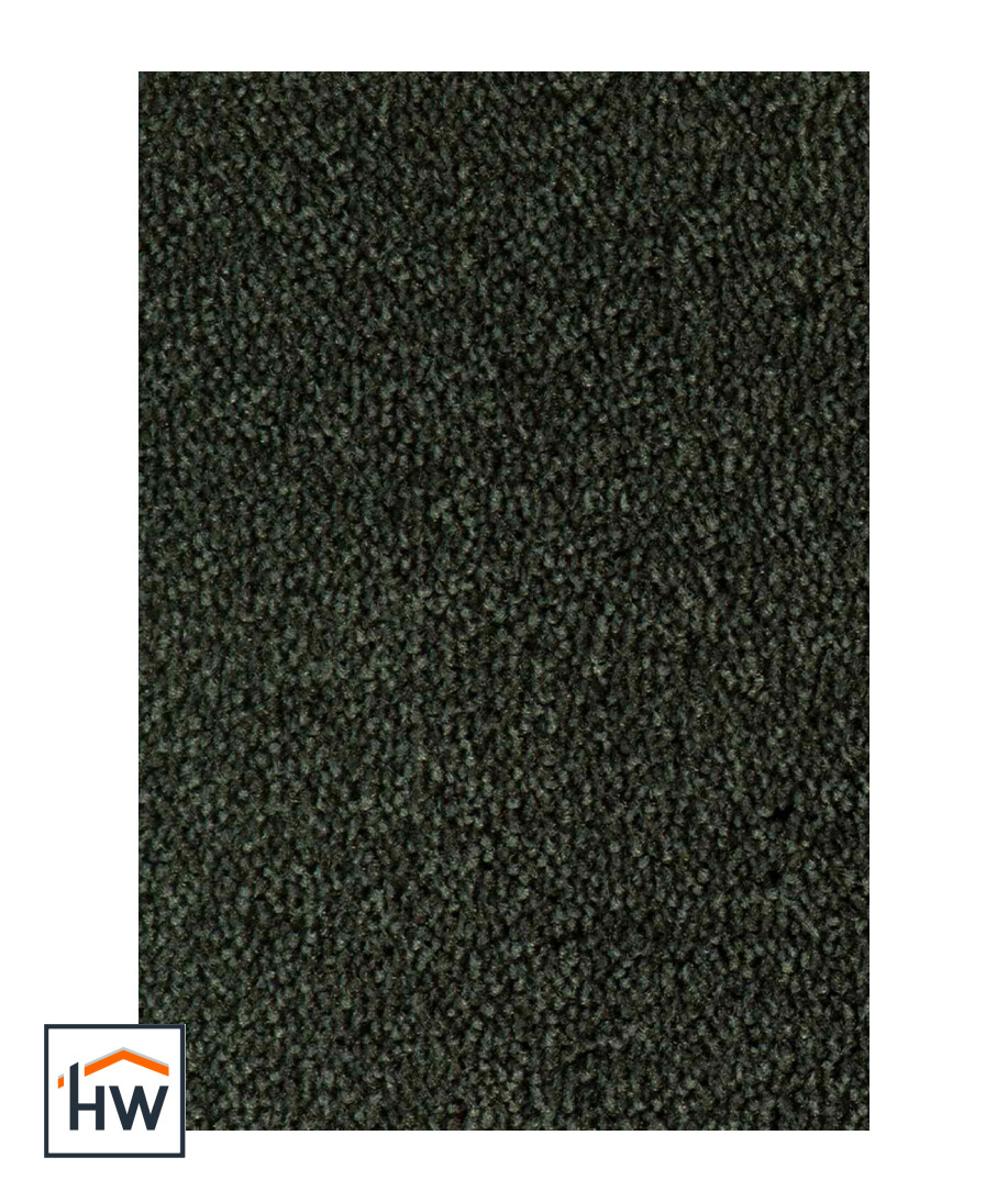 Colour King 158