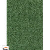 Colour King 122