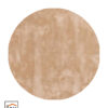 Cisco 12 Rond