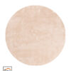 Cisco 11 Rond